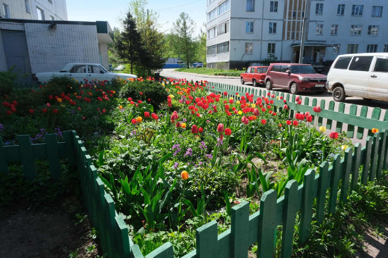 пущино, серпухов, благоустройство, цветы,