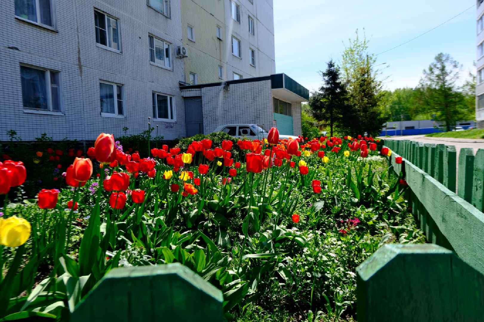пущино, серпухов, благоустройство, цветы,