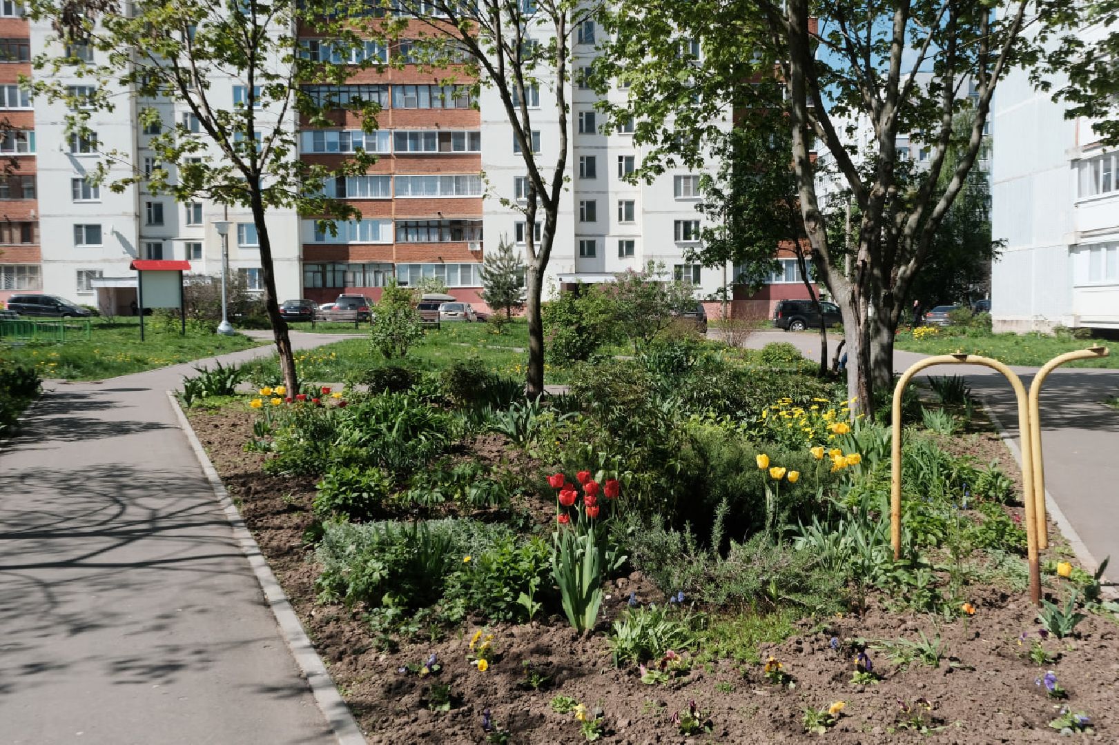 пущино, серпухов, благоустройство, цветы,