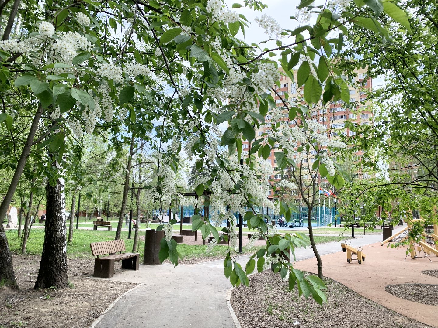 Балашиха, Подмосковье, Благоустройство, Скверы, детские игровые площадки, контейнерные площадки, содержание территорий,