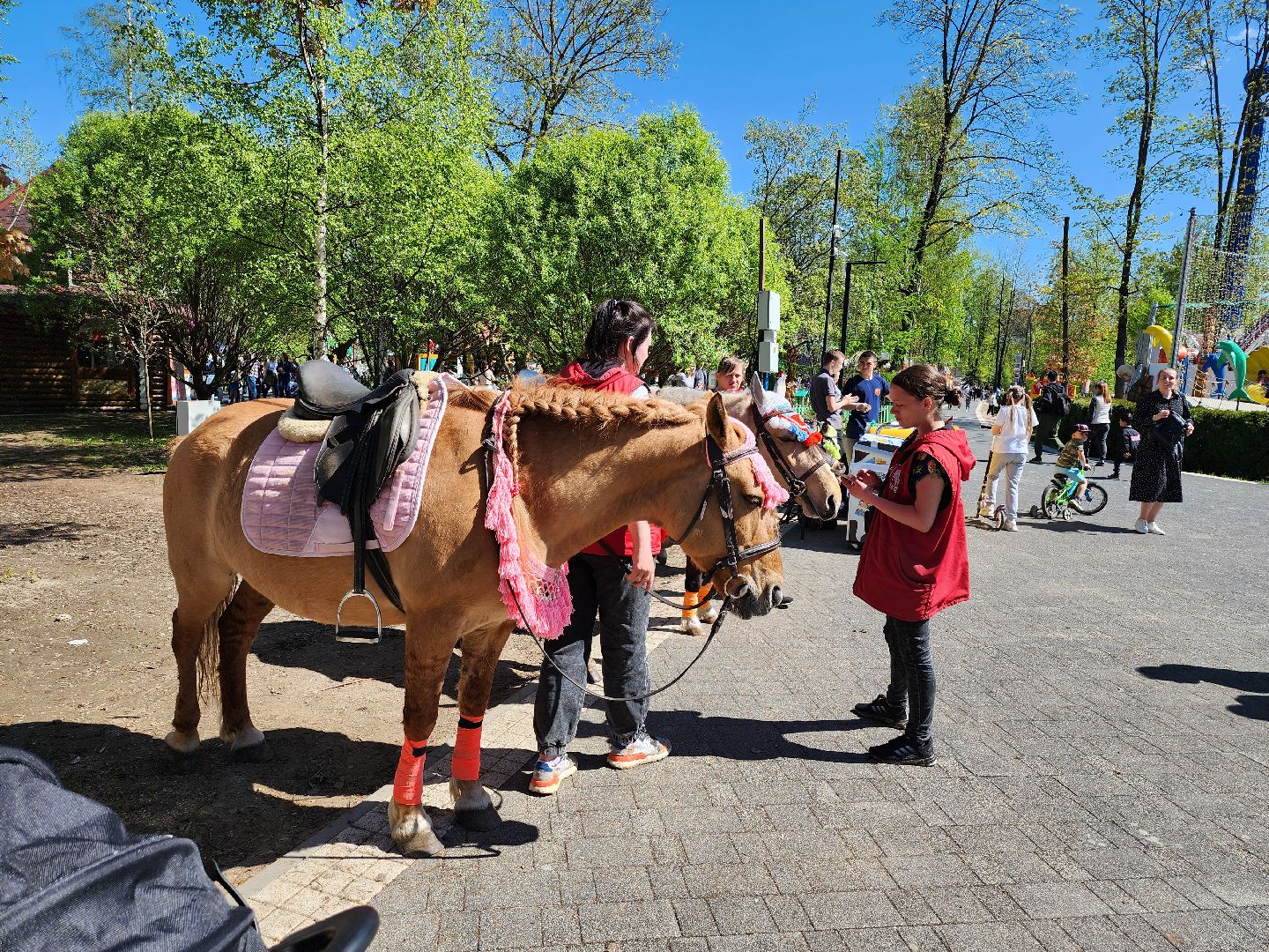 парк мира, первомай, мытищи, отдых в подмосковье,