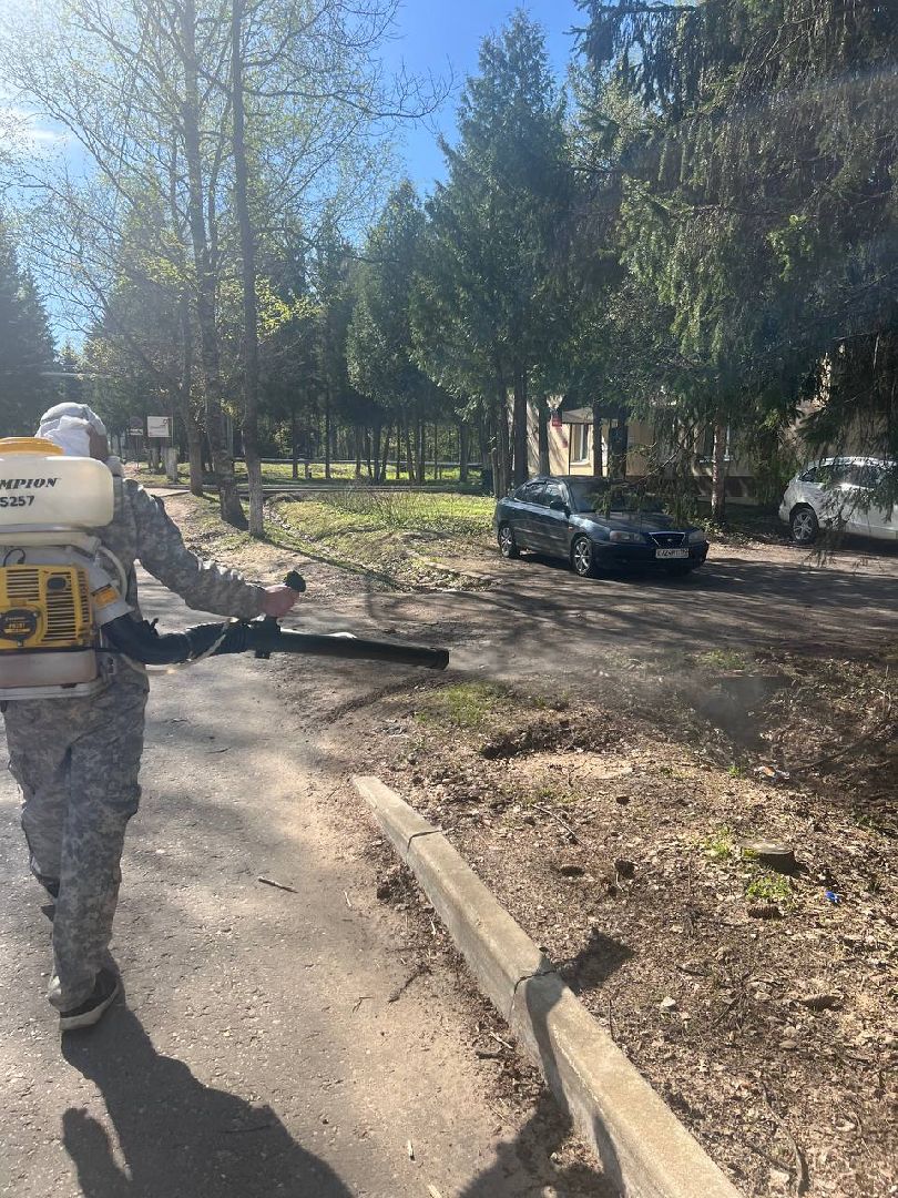 клещи, восход, обработка от клещей,