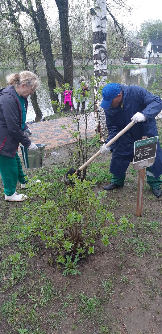 сезона фонтанов, Парки Красногорска», Ильинские пруды», Опалиха, День добрых дел», губернатор Московской области Андрей Воробьев, Опалиховский пруд»,