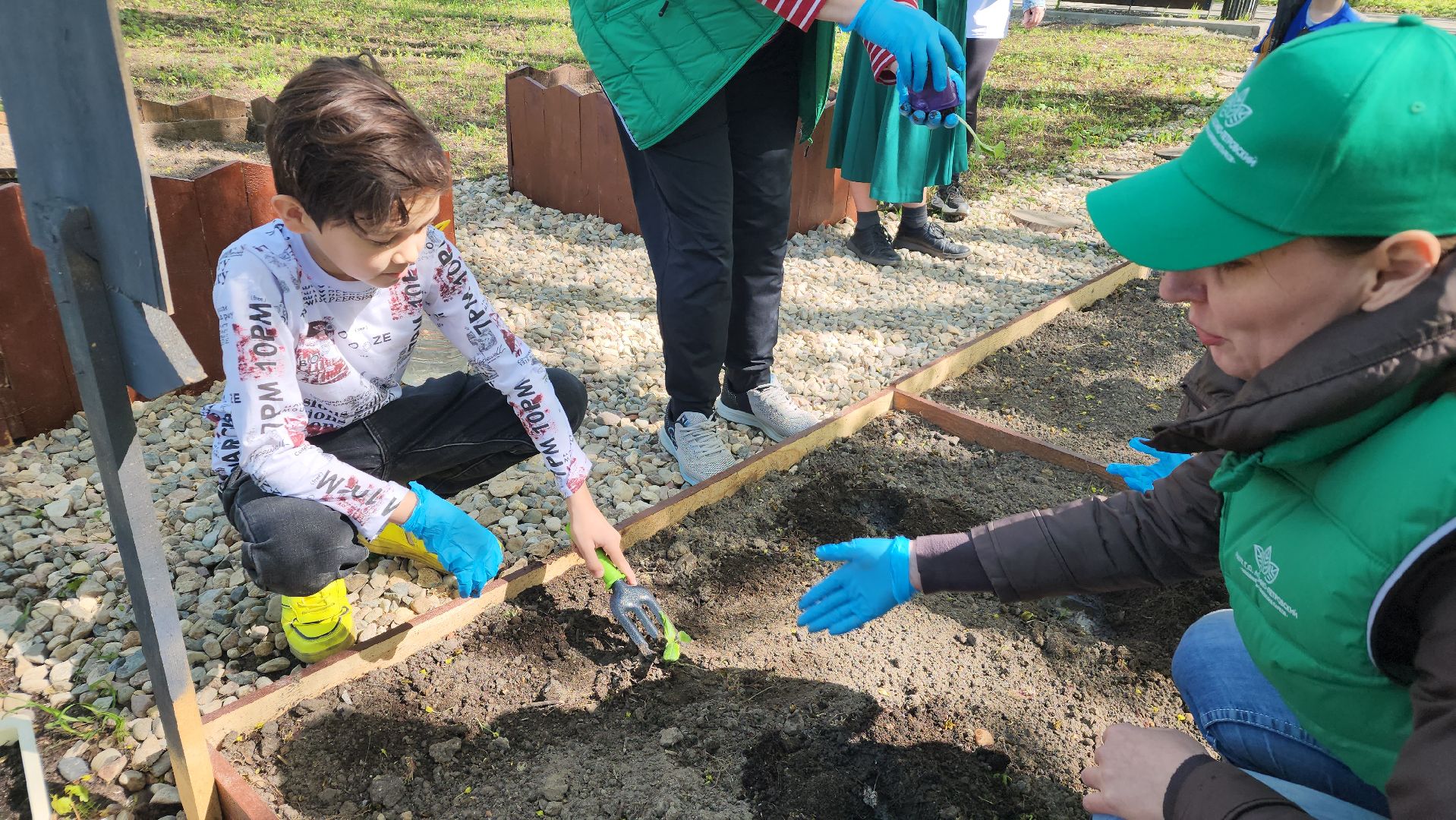 парк, общественный огород, Лосино-Петровский,