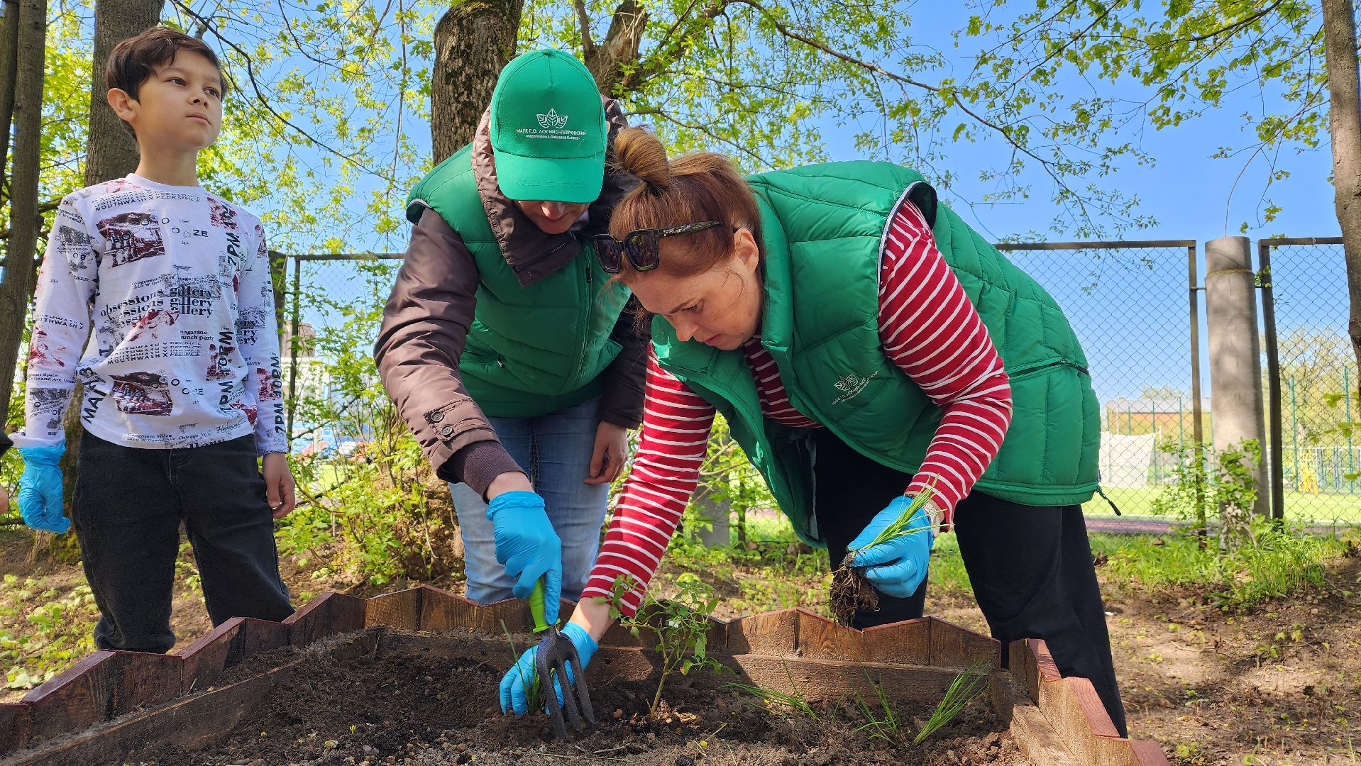 парк, общественный огород, Лосино-Петровский,