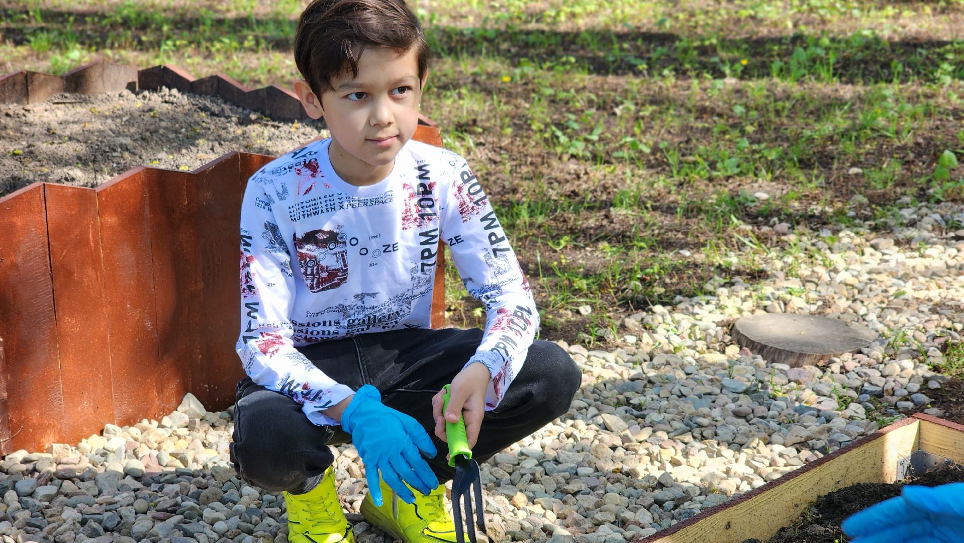 парк, общественный огород, Лосино-Петровский,