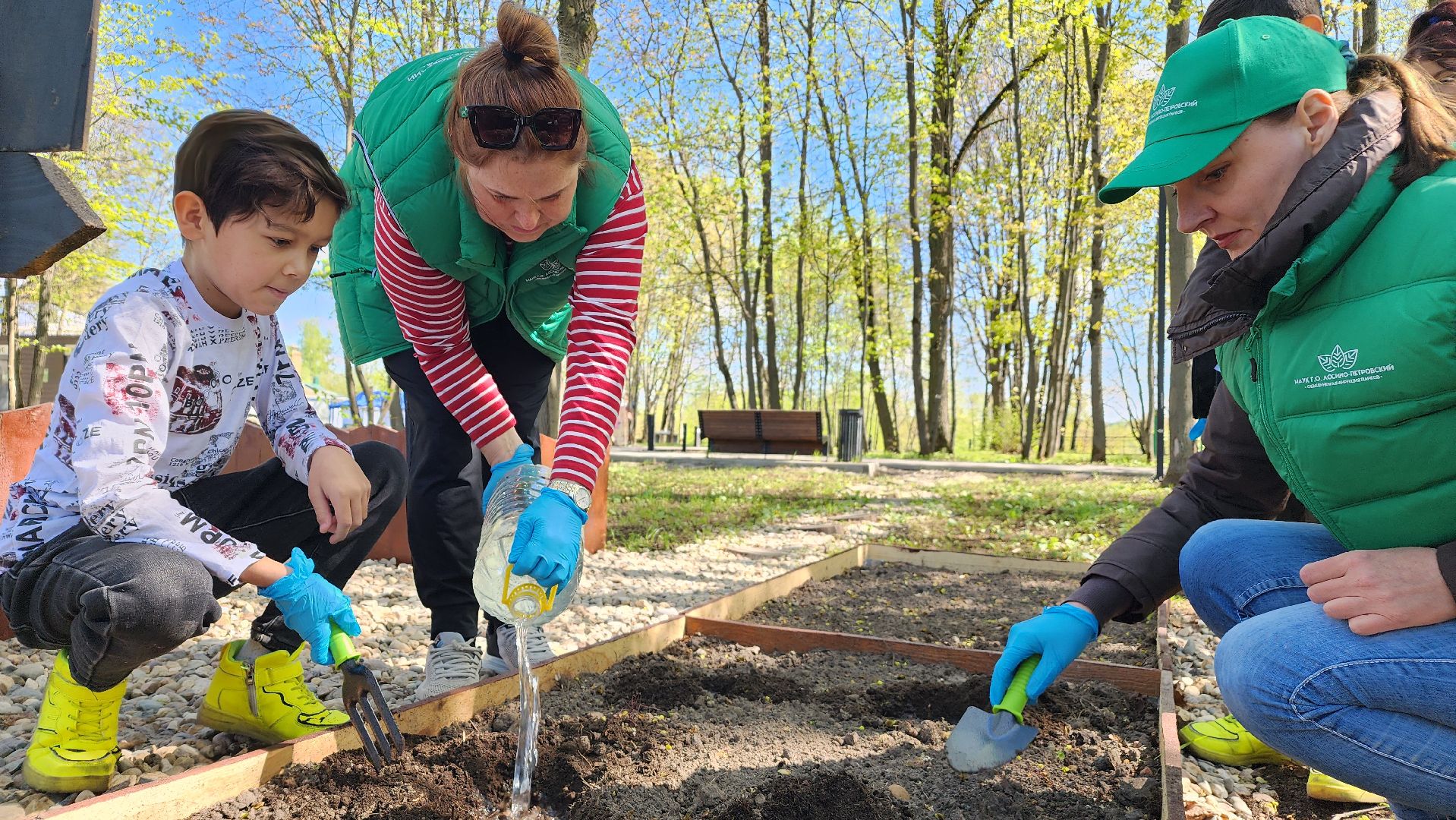 парк, общественный огород, Лосино-Петровский,