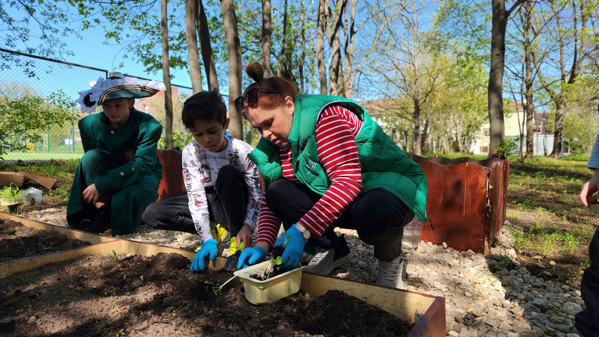 парк, общественный огород, Лосино-Петровский,