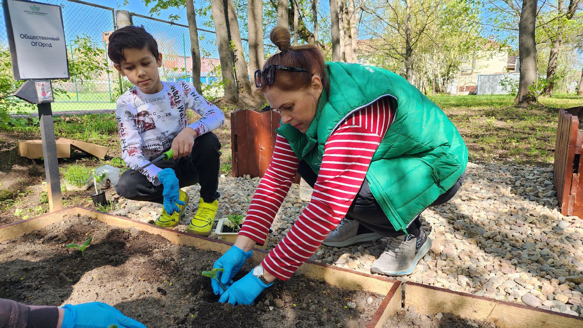 парк, общественный огород, Лосино-Петровский,