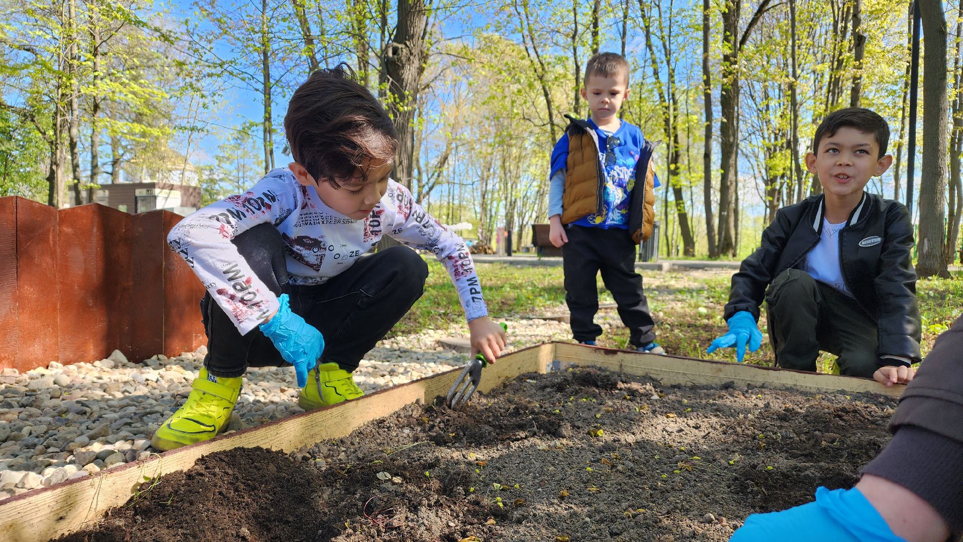парк, общественный огород, Лосино-Петровский,