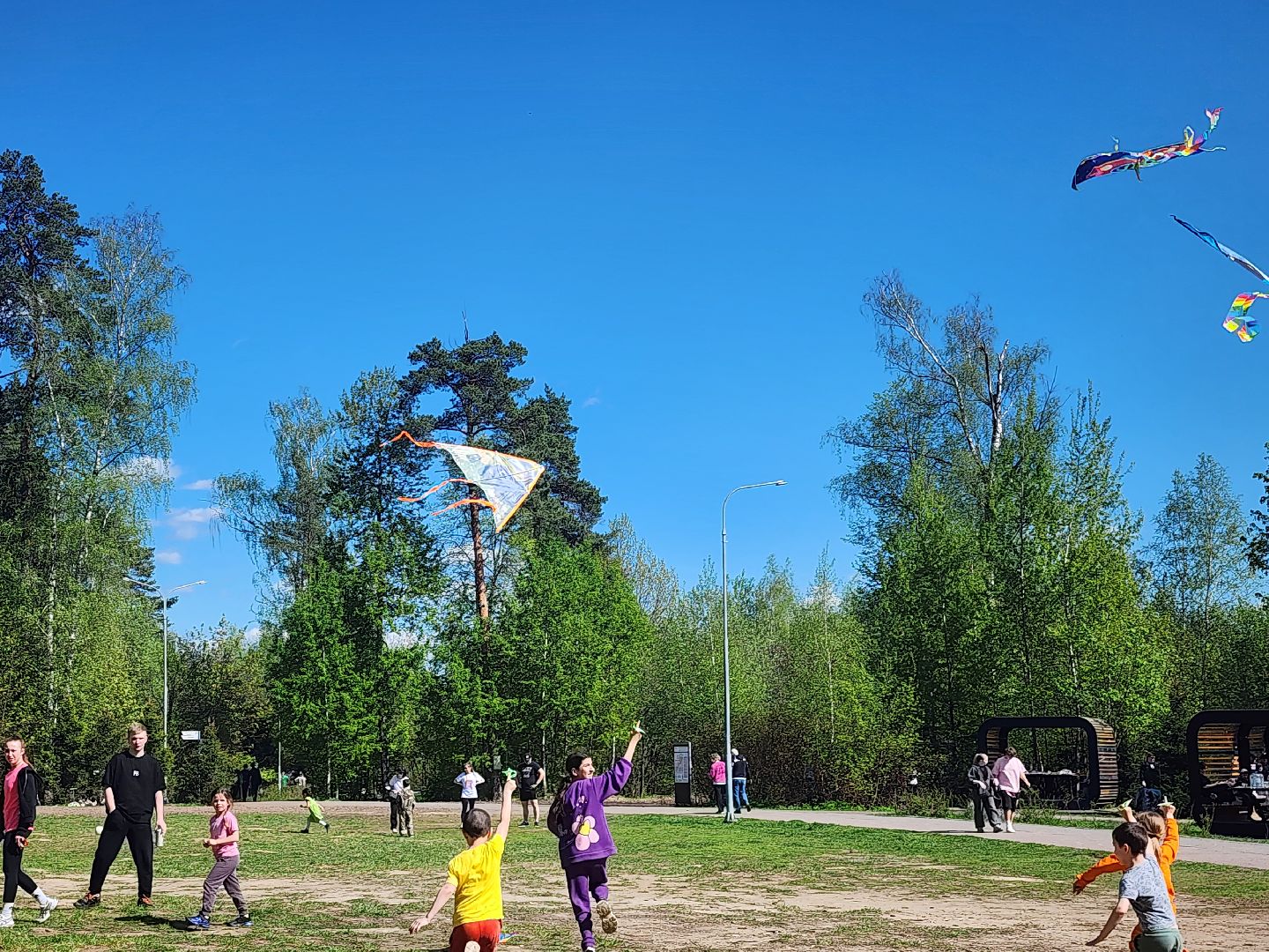 Воздушные змеи, мытищинский лесопарк, первомай,