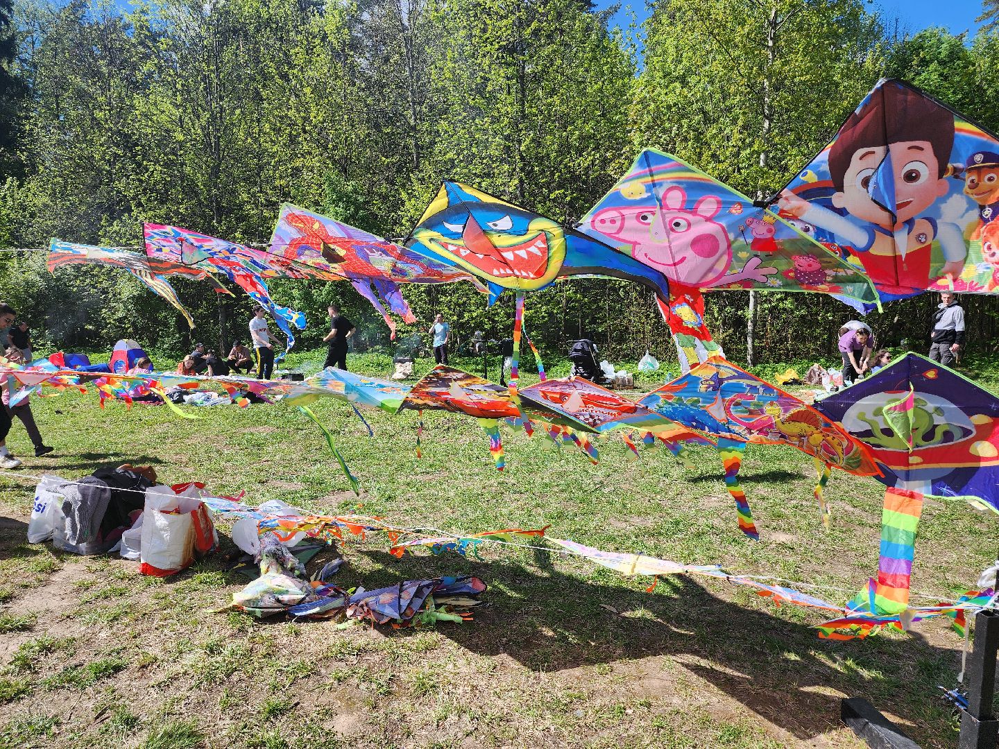 Воздушные змеи, мытищинский лесопарк, первомай,