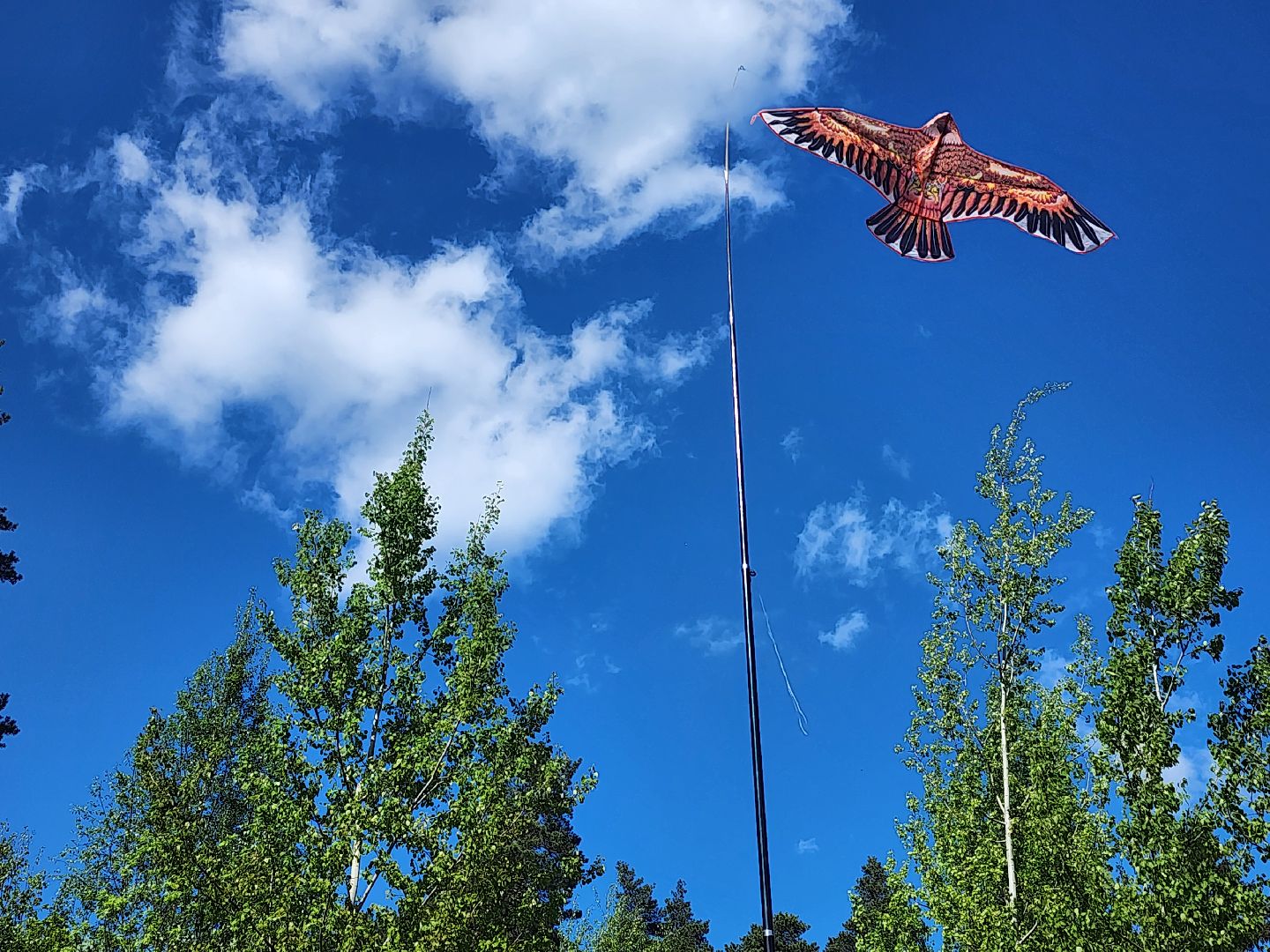 Воздушные змеи, мытищинский лесопарк, первомай,