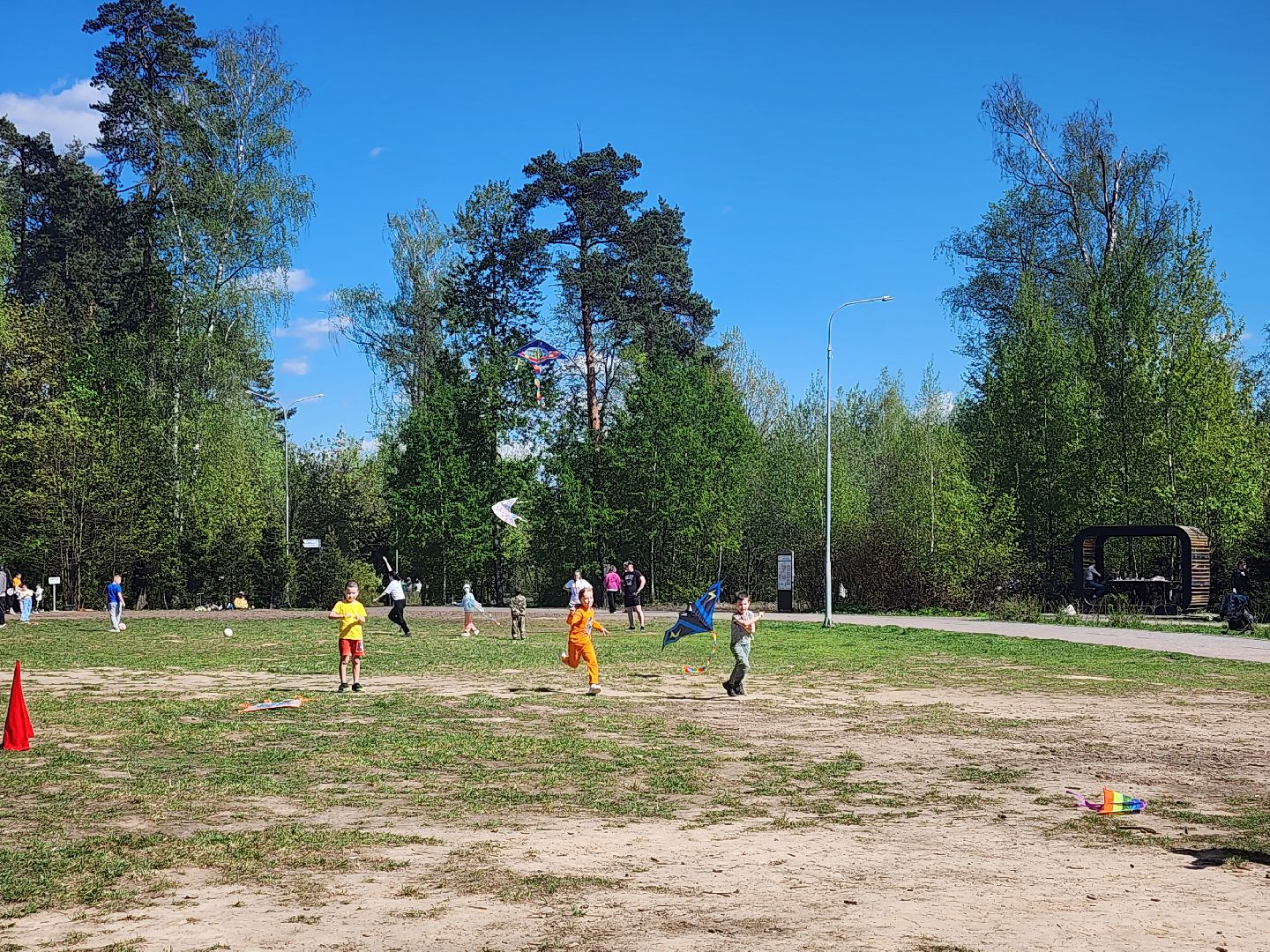 Воздушные змеи, мытищинский лесопарк, первомай,