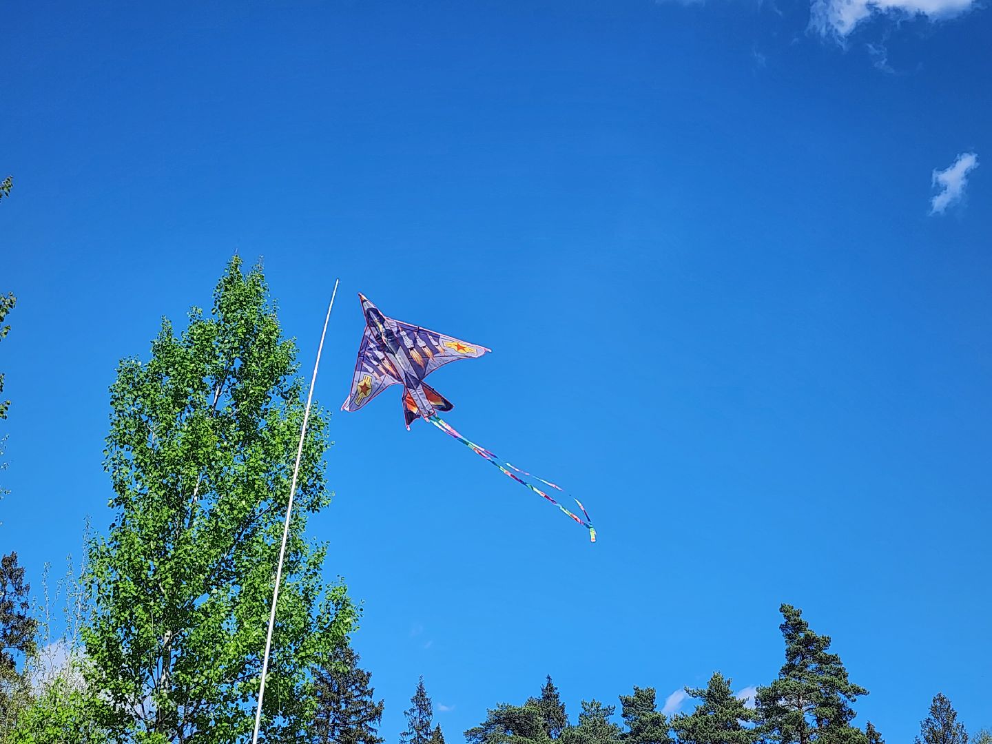 Воздушные змеи, мытищинский лесопарк, первомай,