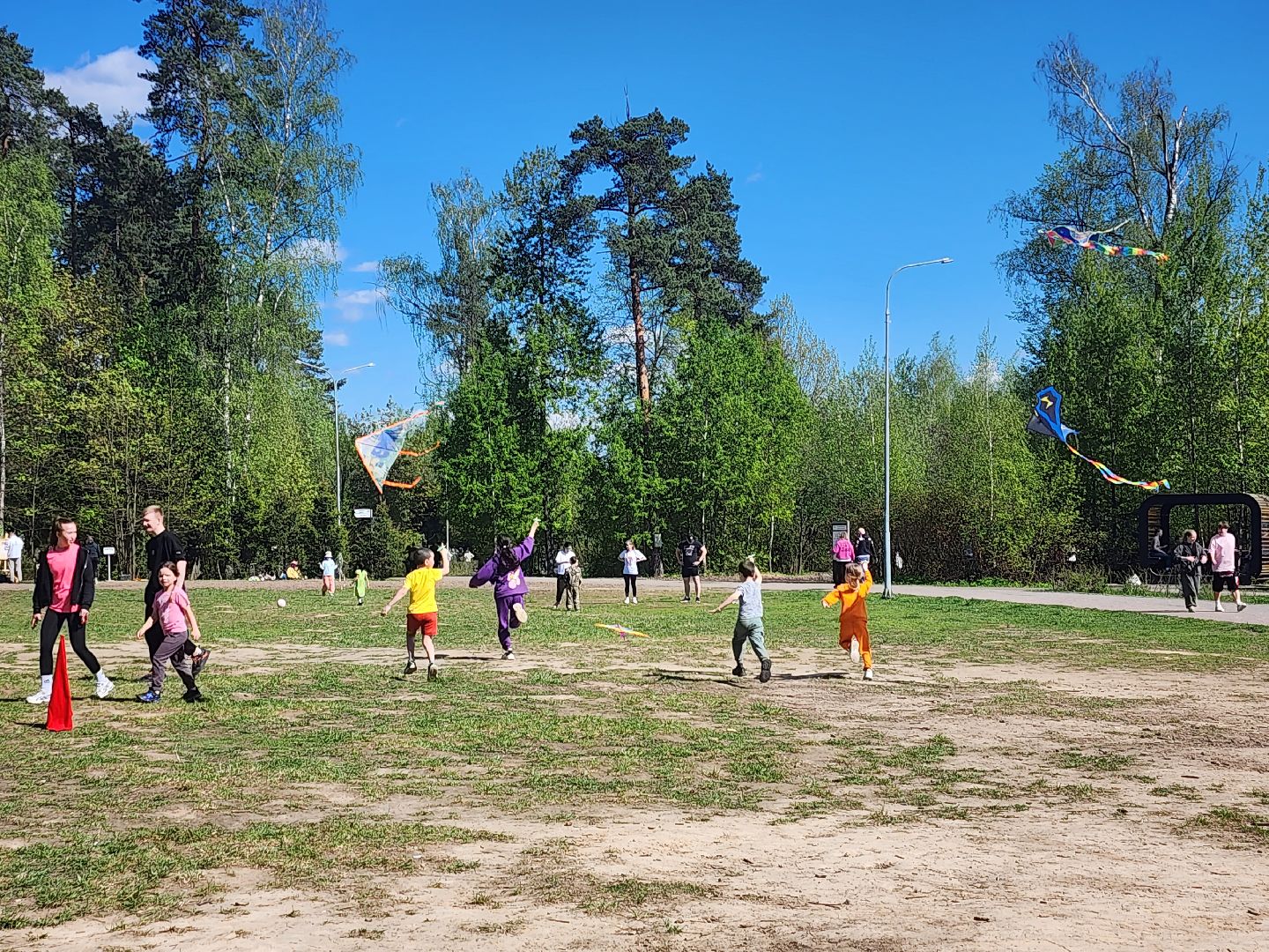 Воздушные змеи, мытищинский лесопарк, первомай,
