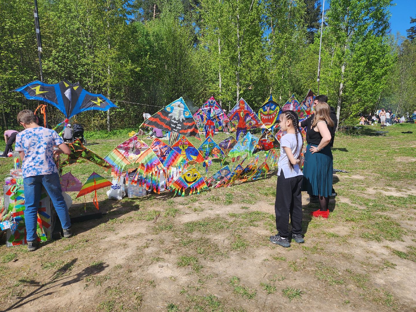 Воздушные змеи, мытищинский лесопарк, первомай,