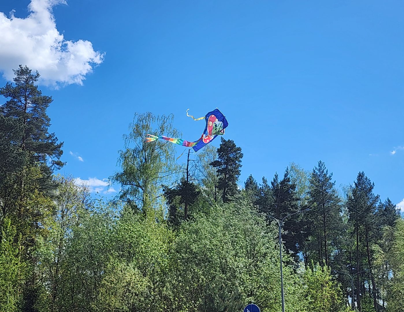 Воздушные змеи, мытищинский лесопарк, первомай,