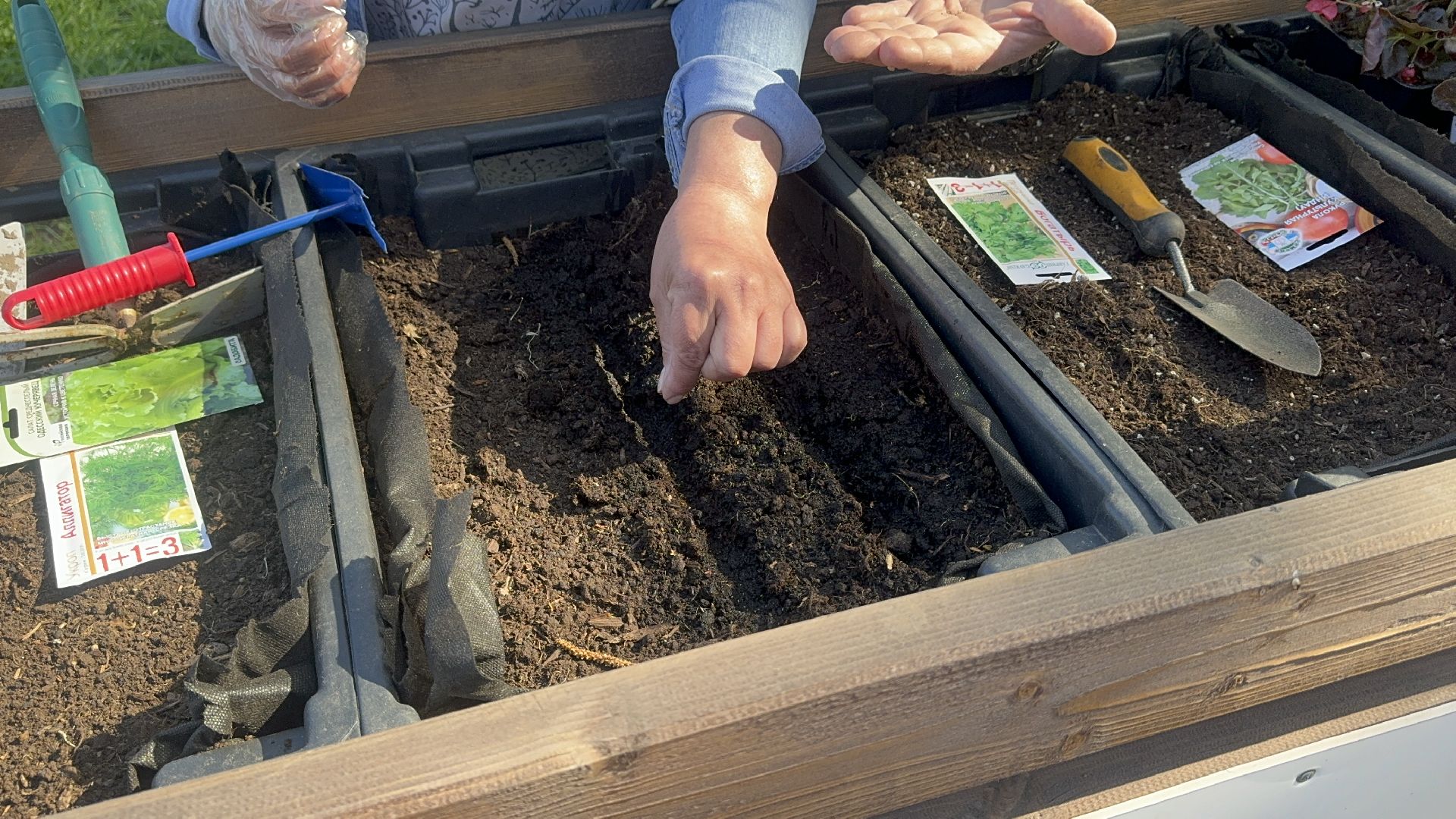 Солнечногорск, общественный огород, проект, Жители, Семена,