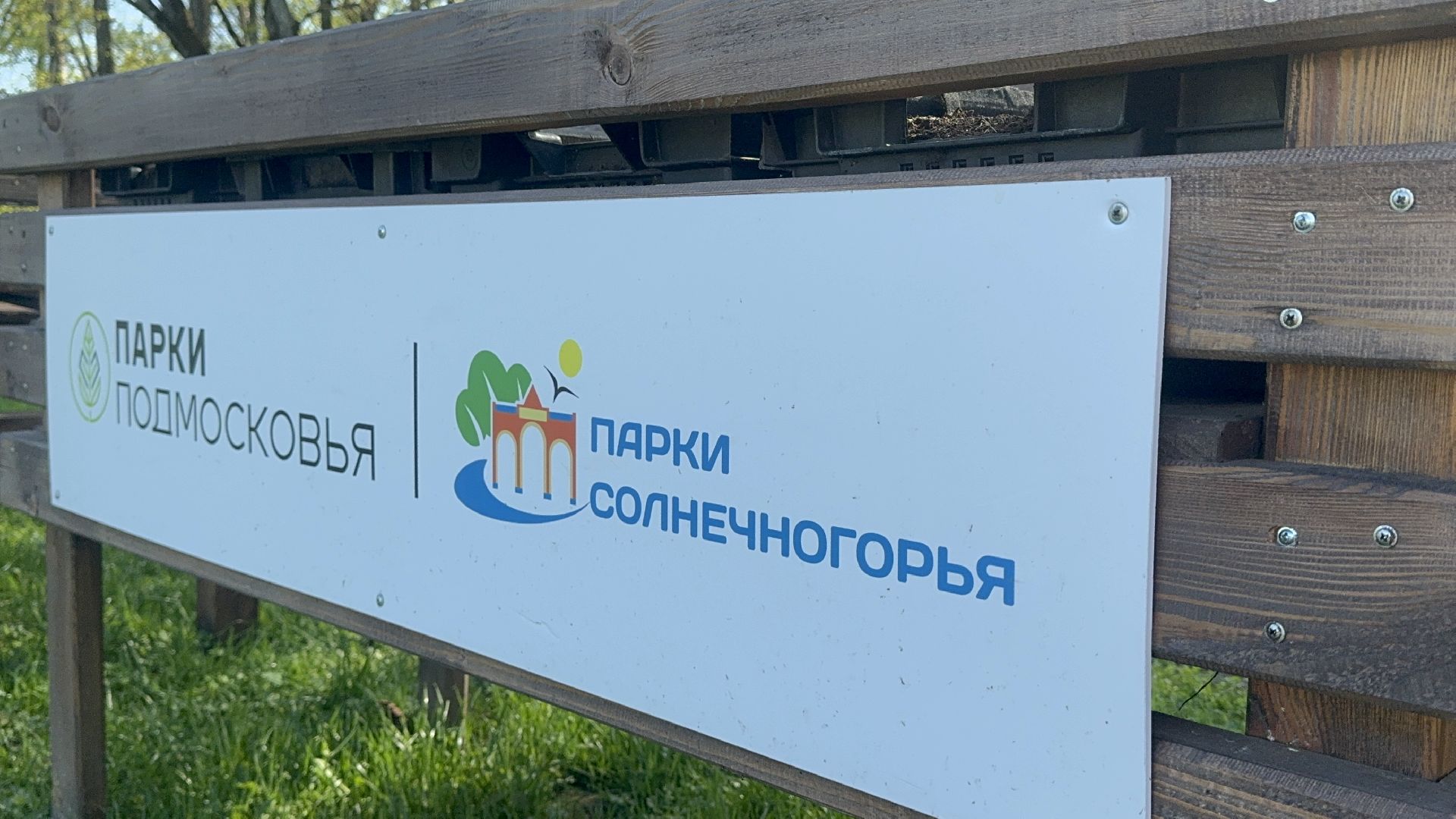 Солнечногорск, общественный огород, проект, Жители, Семена,