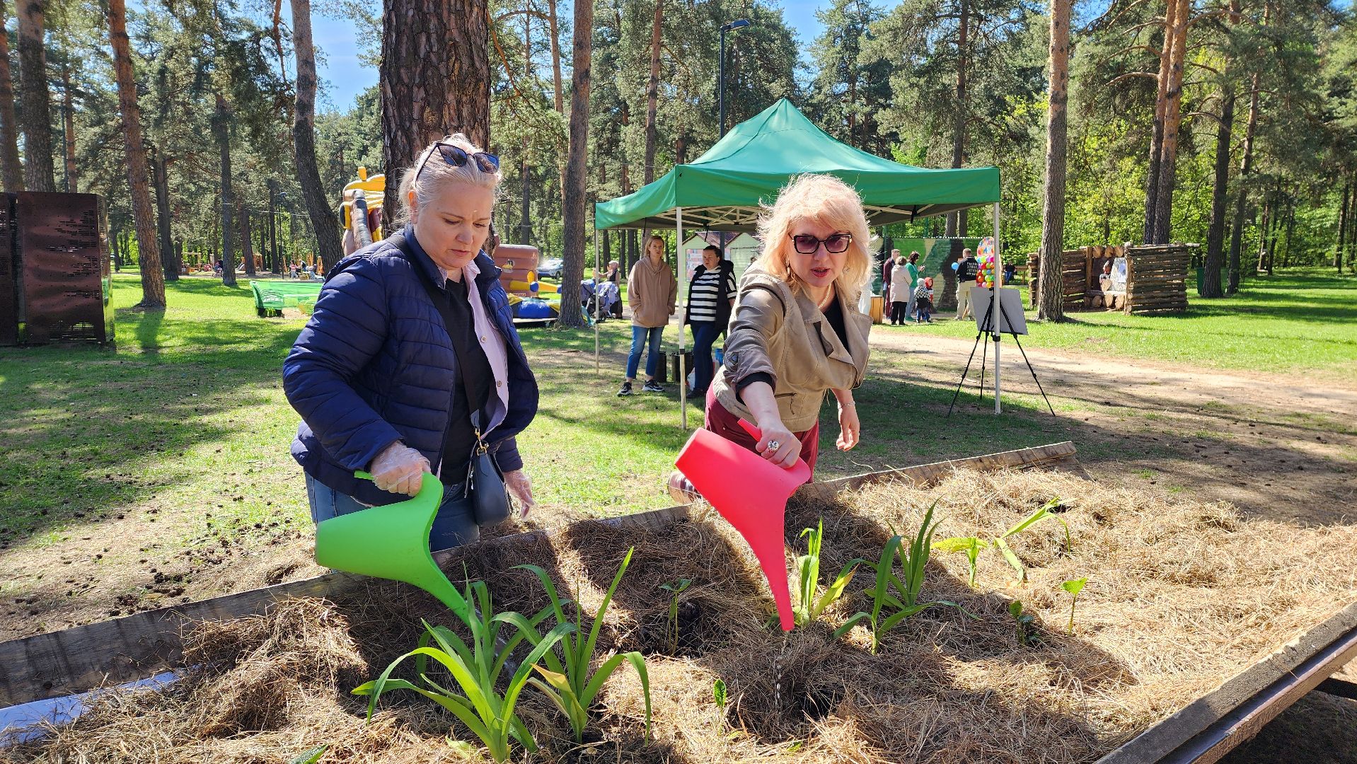 парки подмосковья, кузьминский лес,