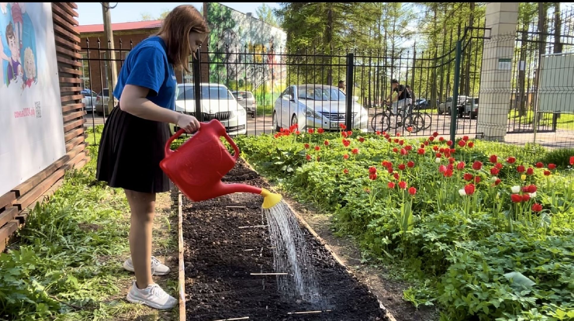наро-фоминск, центральный парк наро-фоминска, общественный огород,