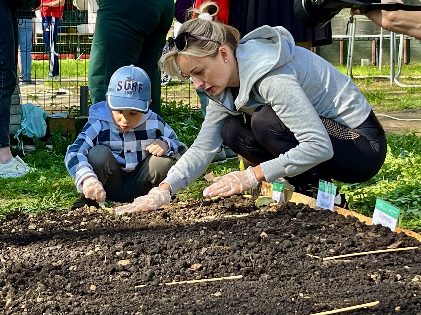 наро-фоминск, центральный парк наро-фоминска, общественный огород,