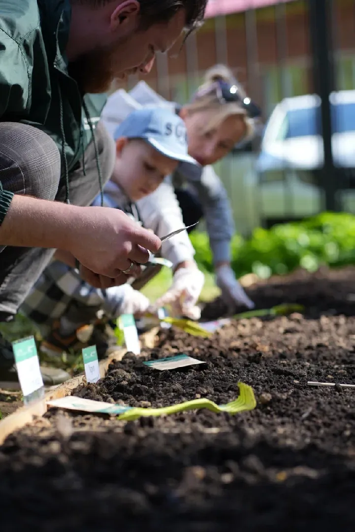 наро-фоминск, центральный парк наро-фоминска, общественный огород,