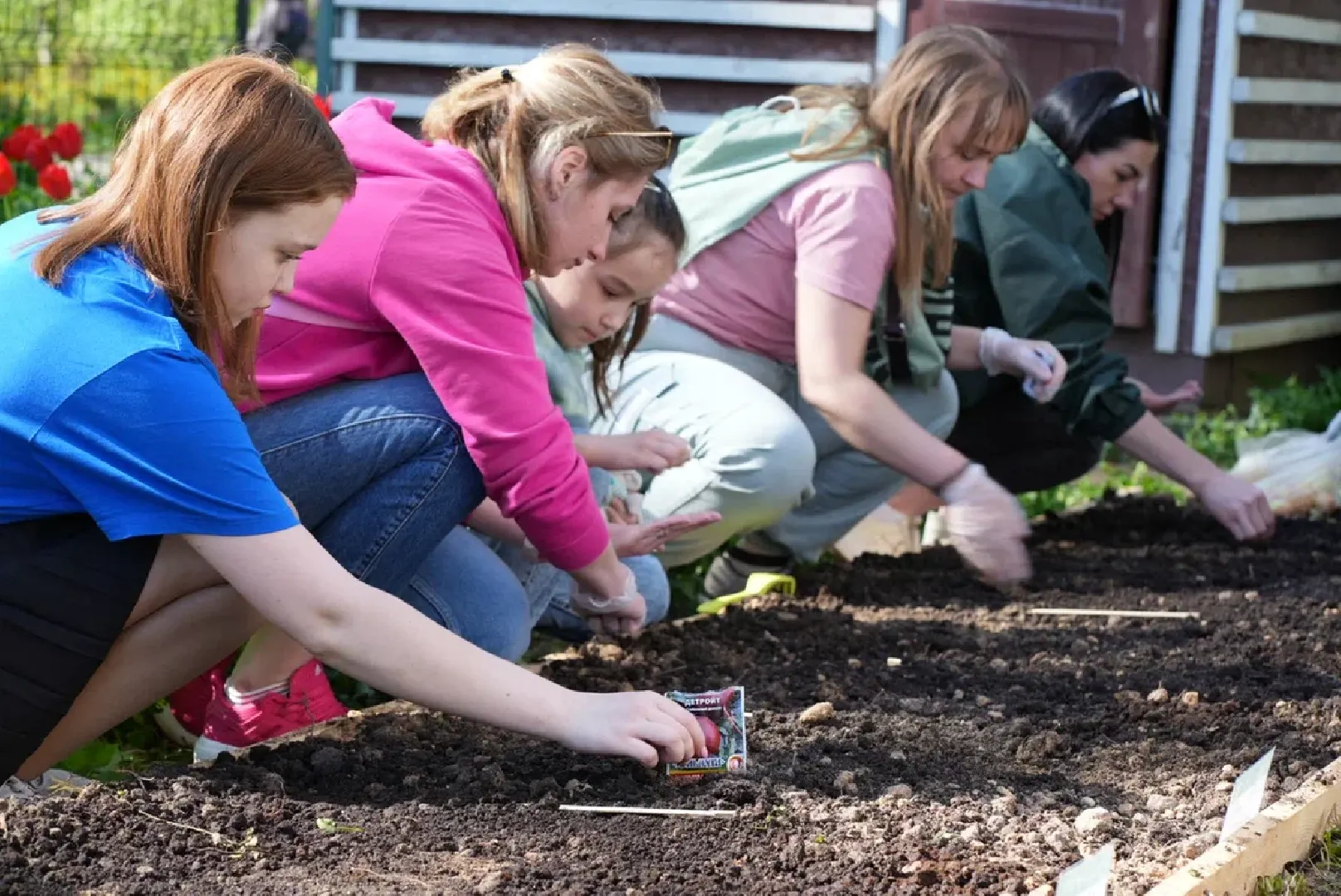 наро-фоминск, центральный парк наро-фоминска, общественный огород,