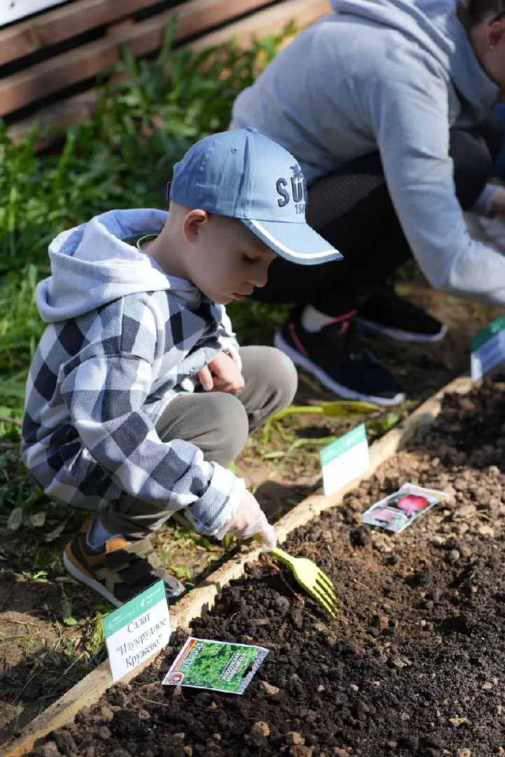 наро-фоминск, центральный парк наро-фоминска, общественный огород,