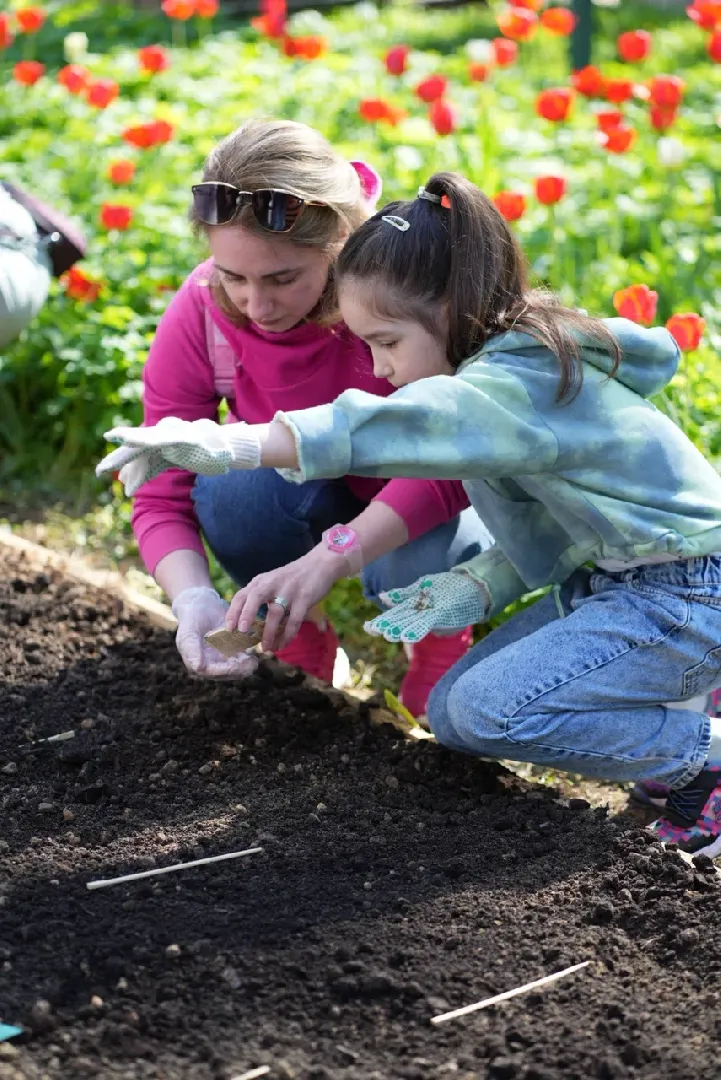 наро-фоминск, центральный парк наро-фоминска, общественный огород,