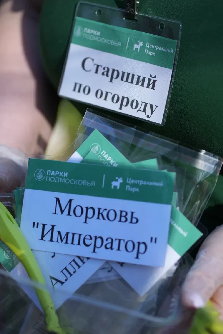 наро-фоминск, центральный парк наро-фоминска, общественный огород,