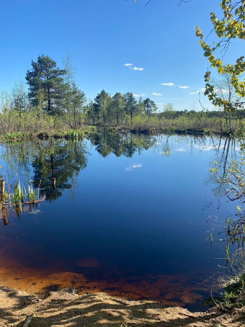 Звенигород, Туризм,