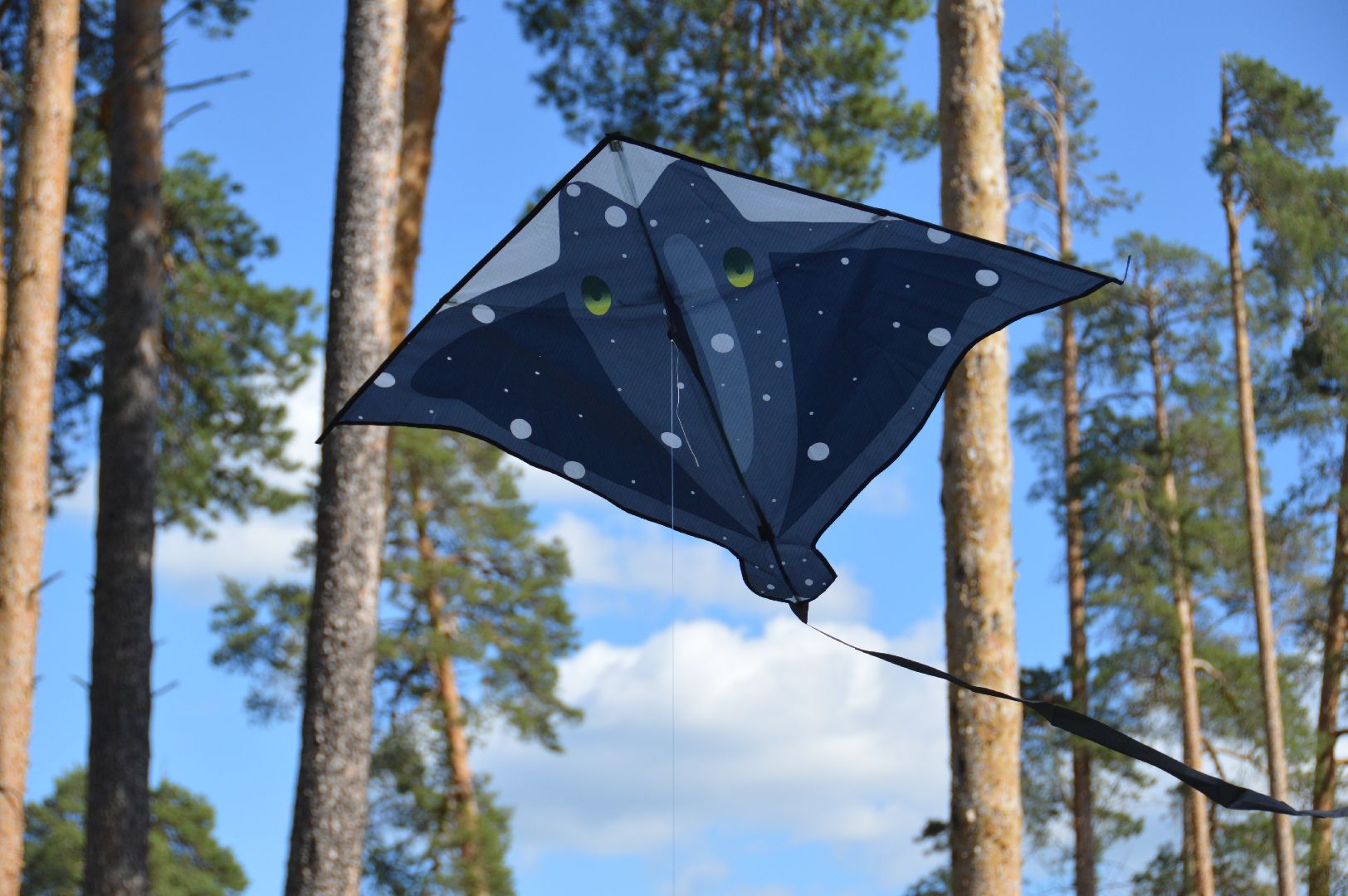 теплый сезон, шатура, парк шатуры, городские парки, праздник, массовые мероприятие, народные гулянья,