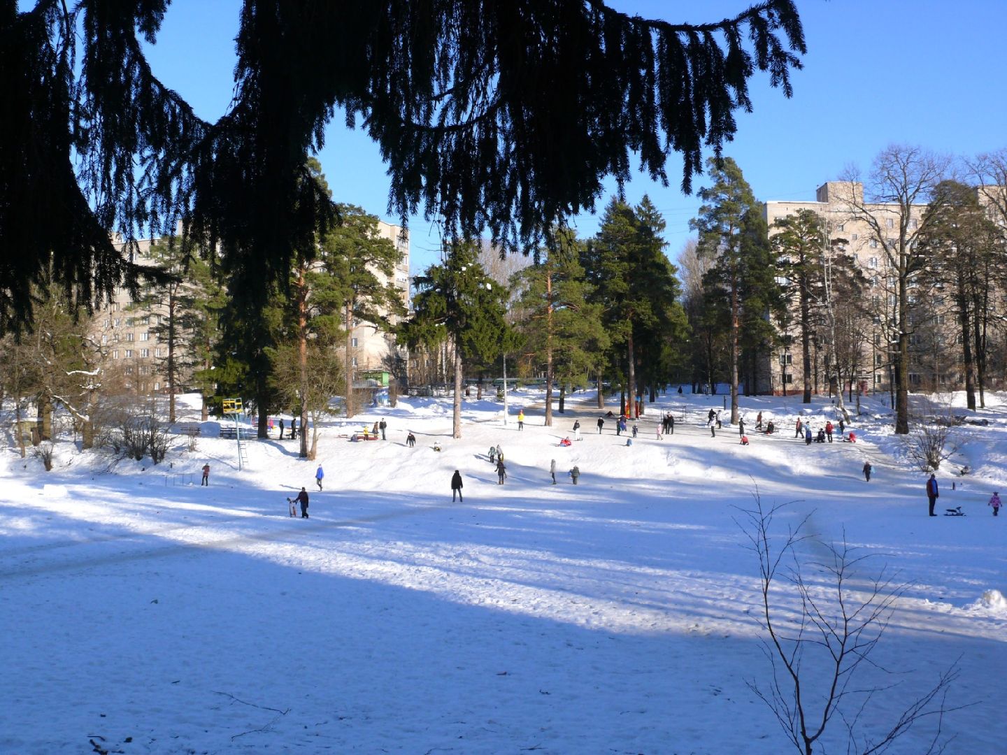 Власиха военный городок, ЗАТО Власиха, История Власихи, инициатива жителей, фотоальбом Власихи, Власиха в лицах,
