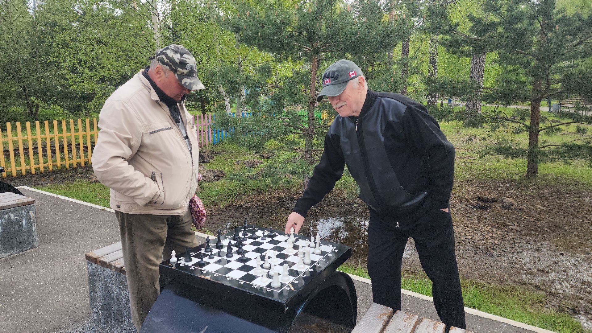 шатура, активное долголетие, шахматы, шашки, настольные игры на свежем воздухе, парк шатуры, настольный теннис,