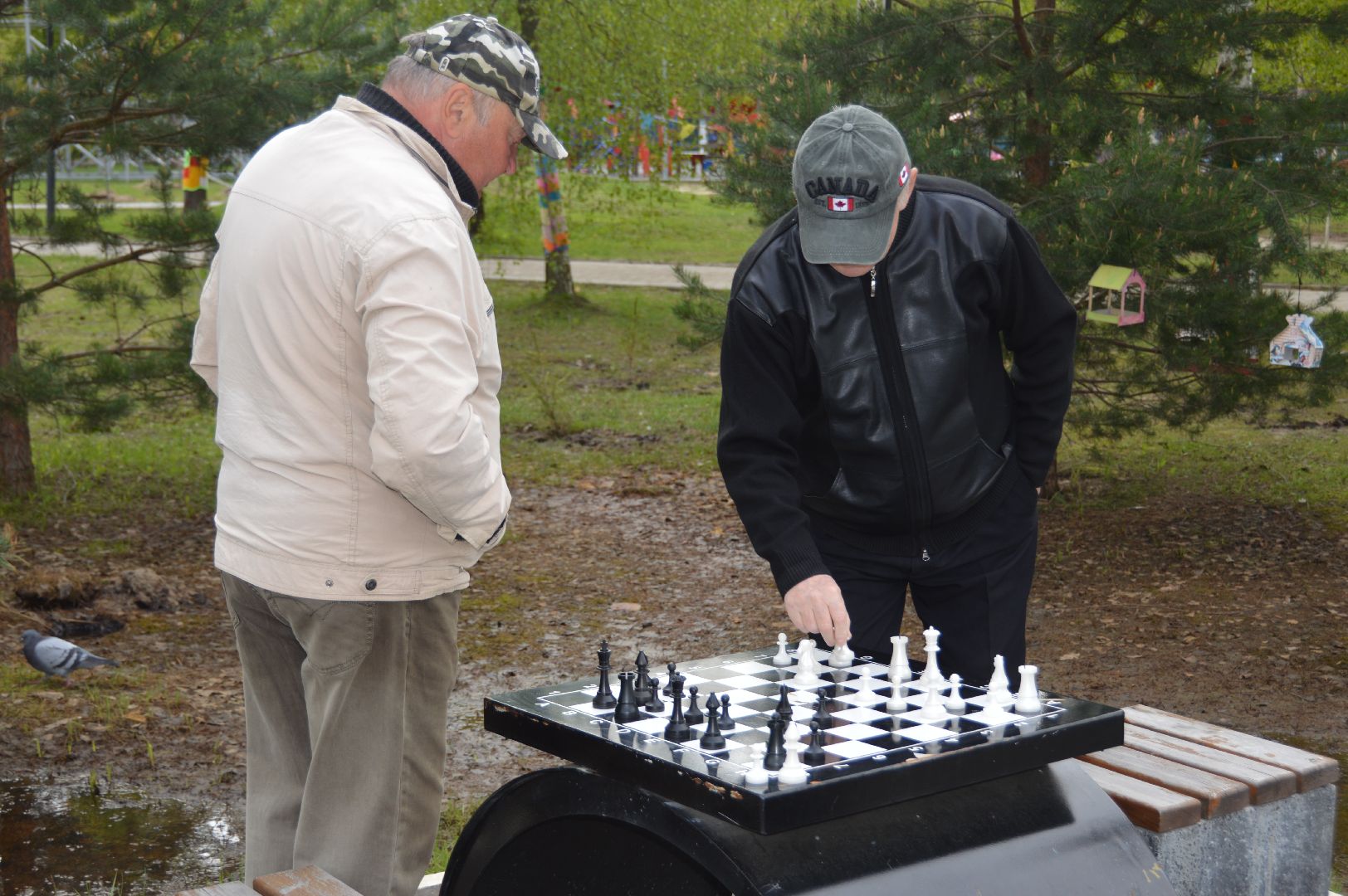 шатура, активное долголетие, шахматы, шашки, настольные игры на свежем воздухе, парк шатуры, настольный теннис,