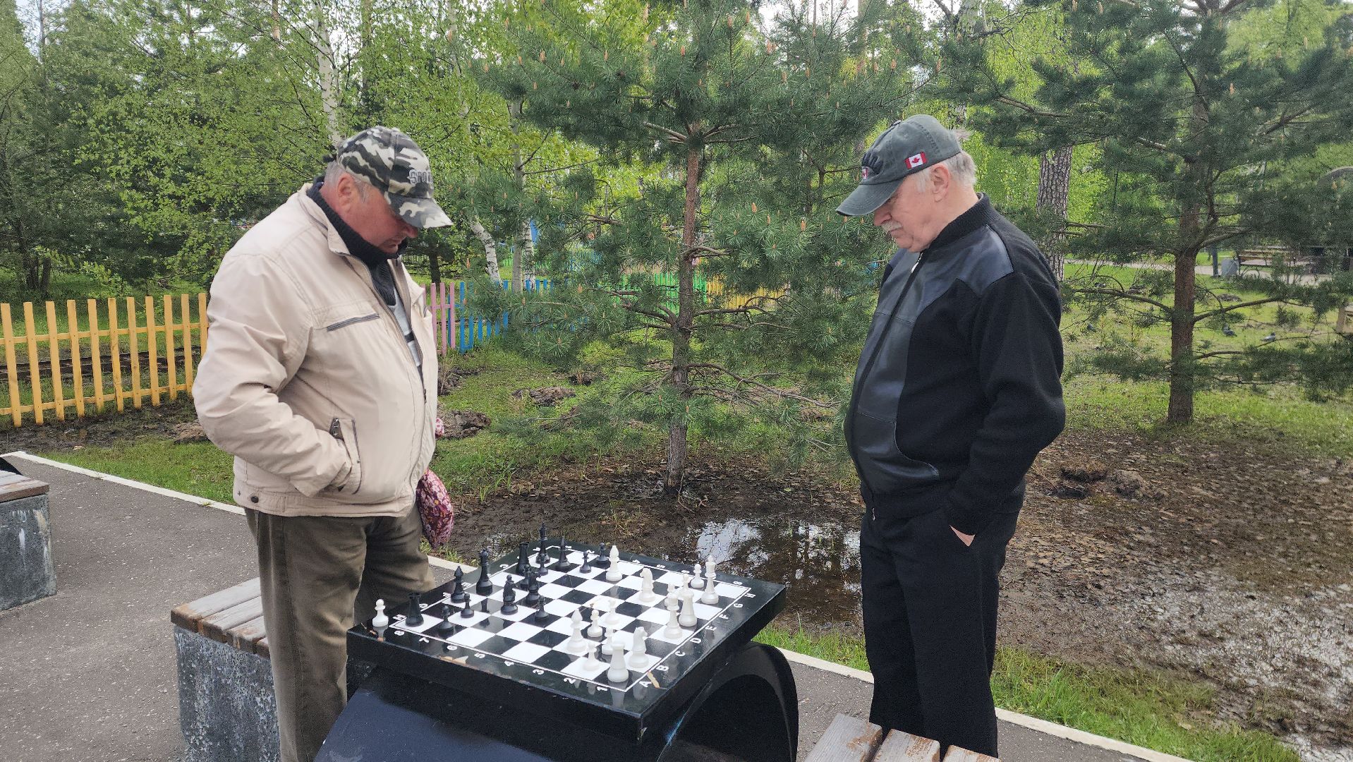 шатура, активное долголетие, шахматы, шашки, настольные игры на свежем воздухе, парк шатуры, настольный теннис,