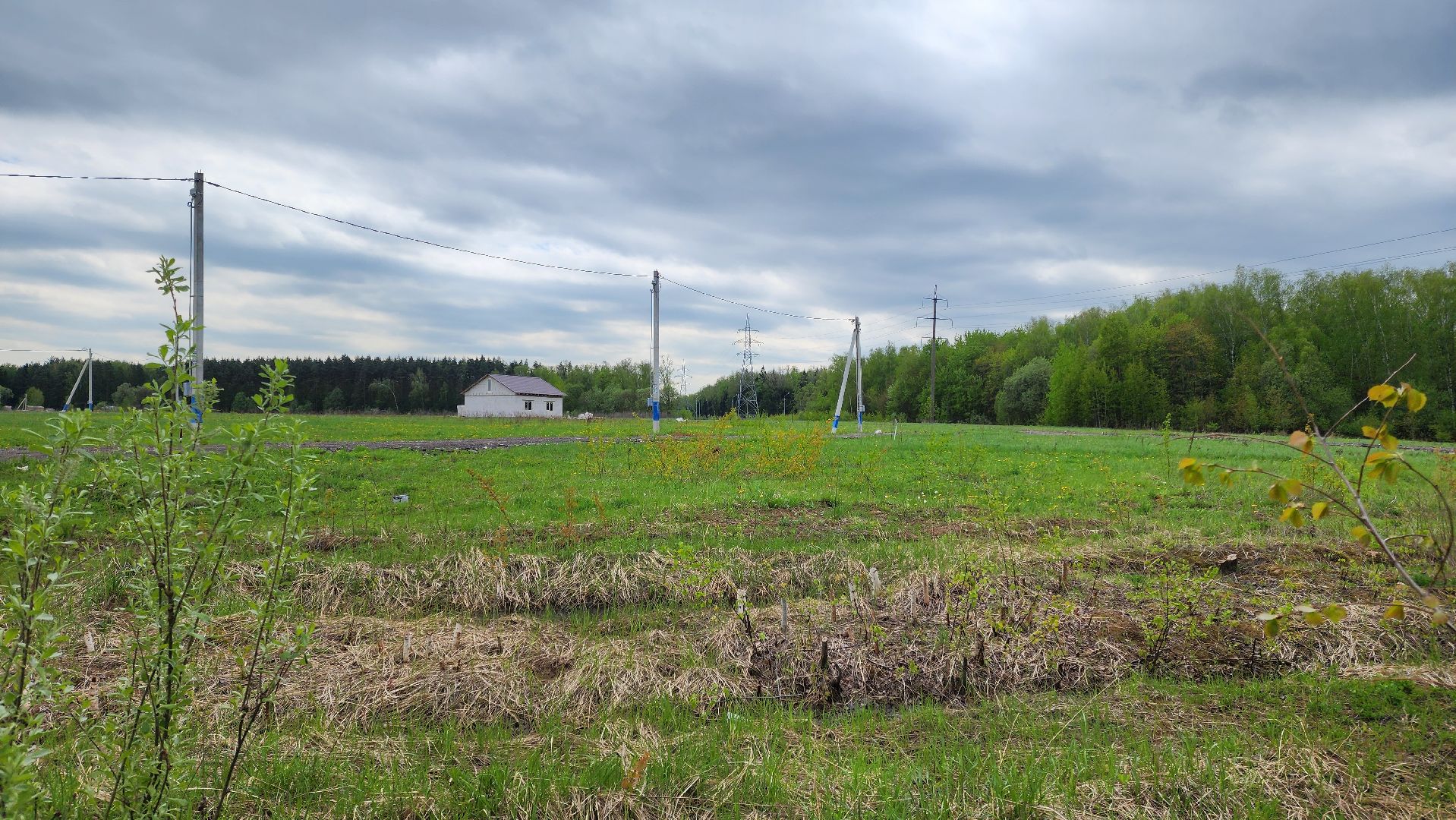 Подольск, выездная администрация, Жители, глава городского округа,