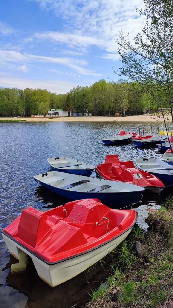 электросталь, культура, парки подмосковья, теплый сезон, летний сезон, отдых в подмосковье, мой город, жители города,