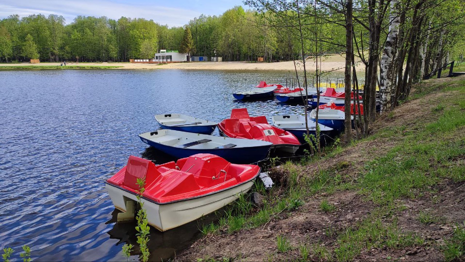 электросталь, культура, парки подмосковья, теплый сезон, летний сезон, отдых в подмосковье, мой город, жители города,