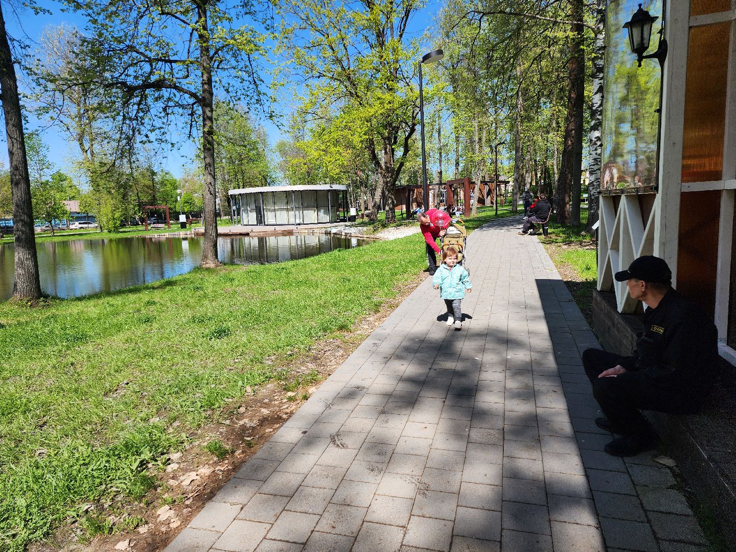 серпухов, подмосковье, лебеди, парк имени олега степанова,