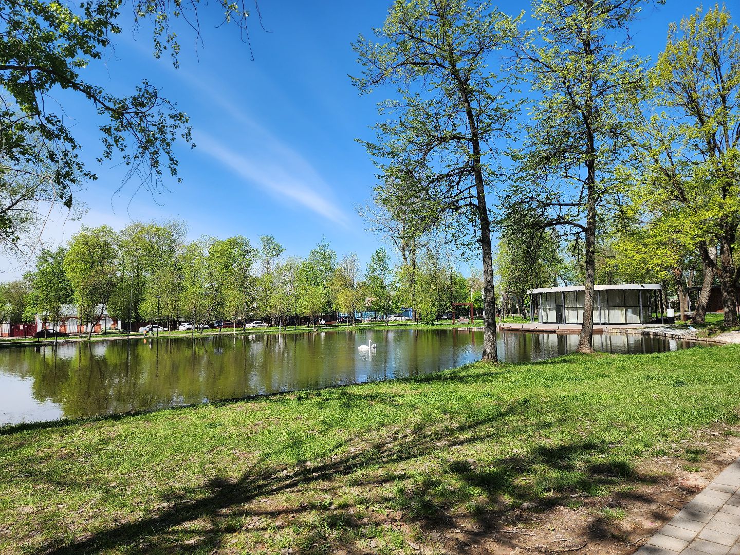серпухов, подмосковье, лебеди, парк имени олега степанова,