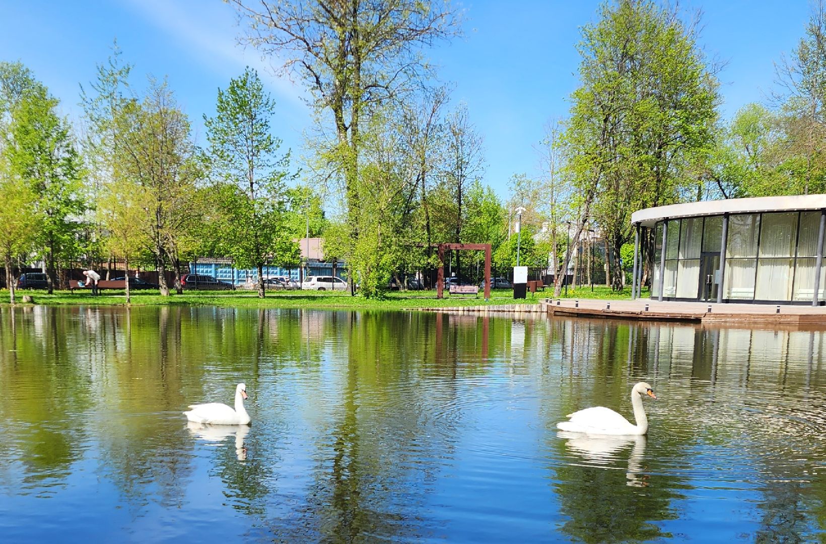 серпухов, подмосковье, лебеди, парк имени олега степанова,