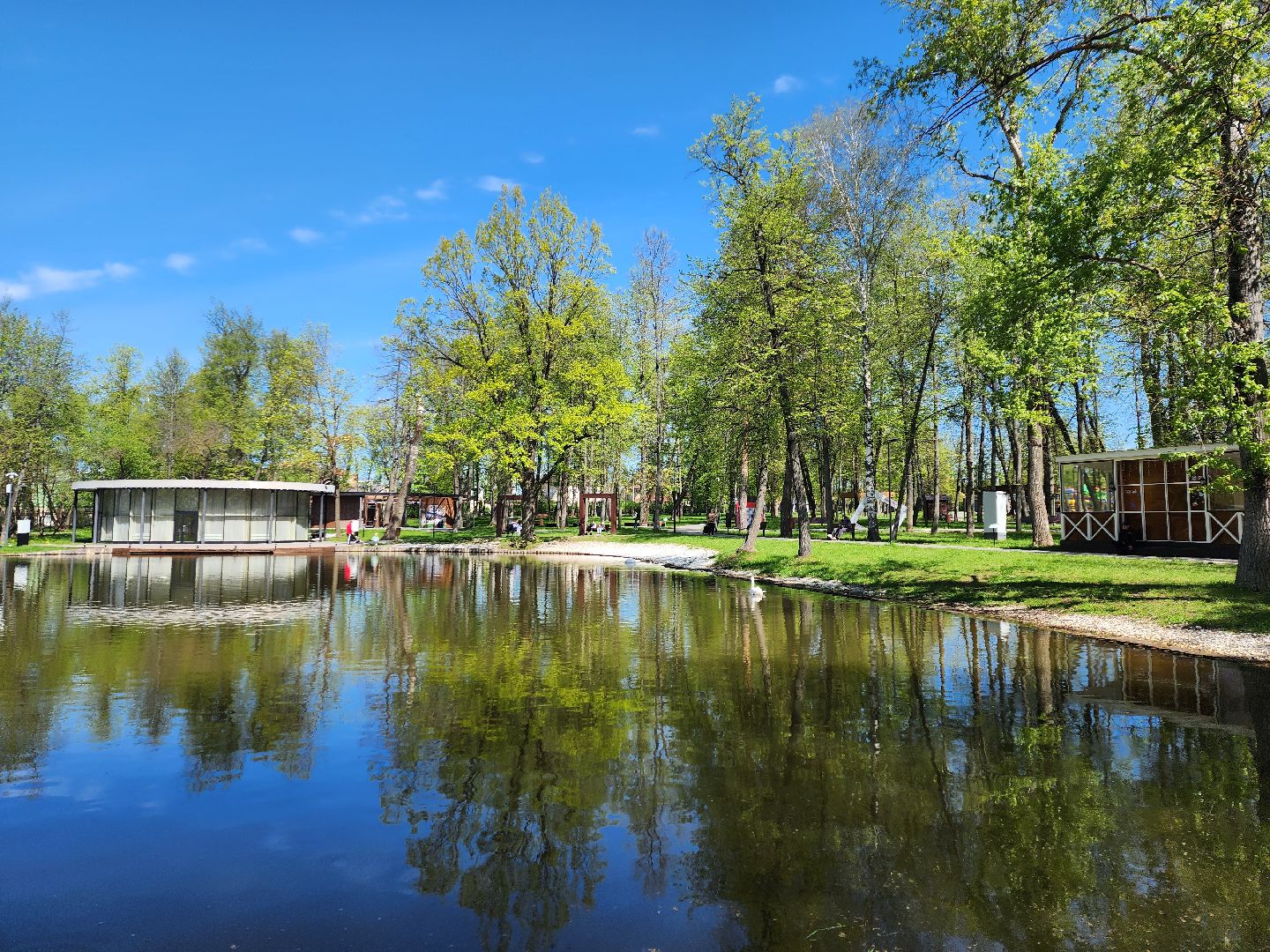 серпухов, подмосковье, лебеди, парк имени олега степанова,