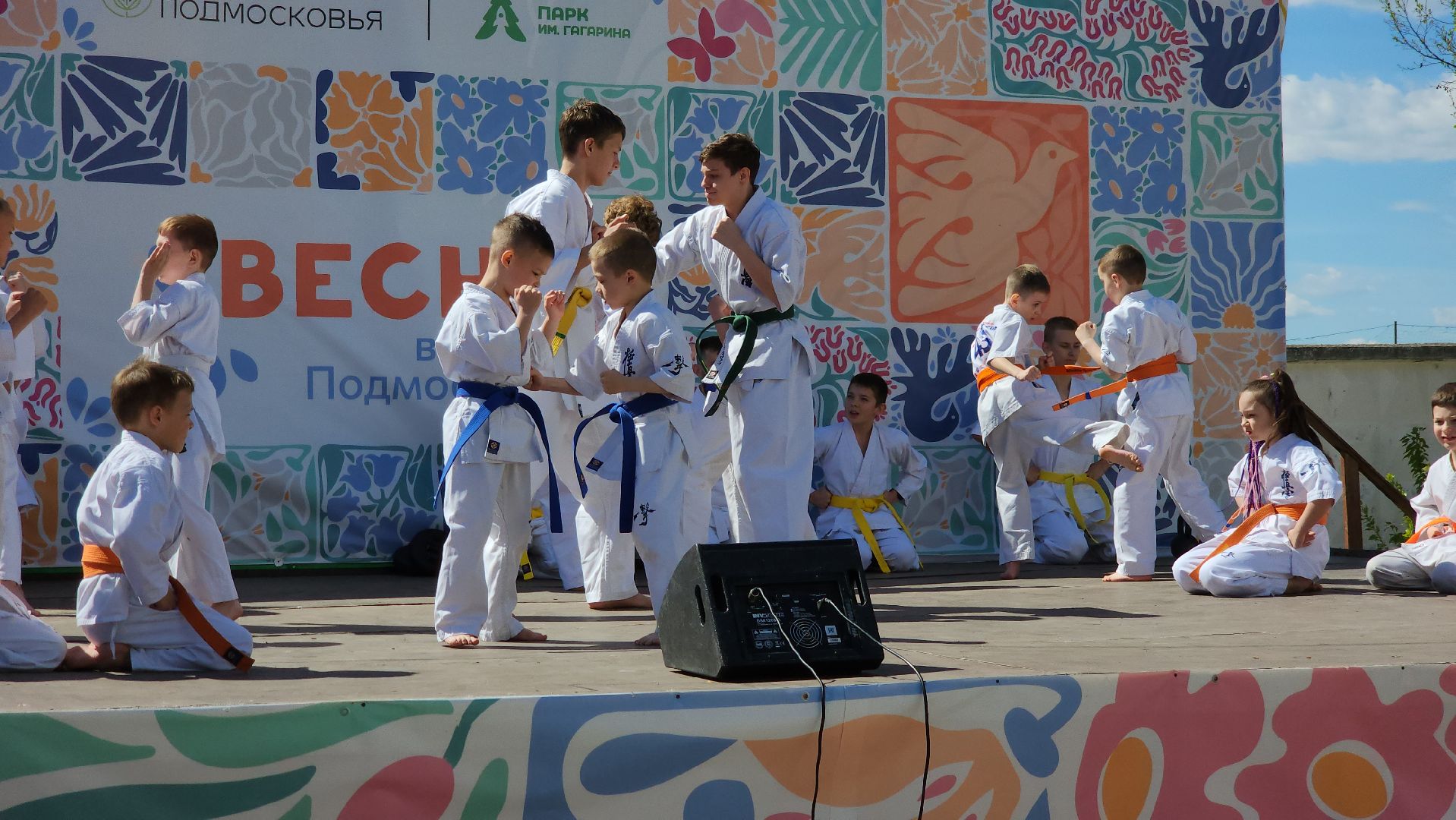 шатура, каратэ-до, мастер-класс по каратэ, тора, Орехово-Зуево, Павловский-Посад, путилково, химки, городские парки Шатуры,пустая рука,