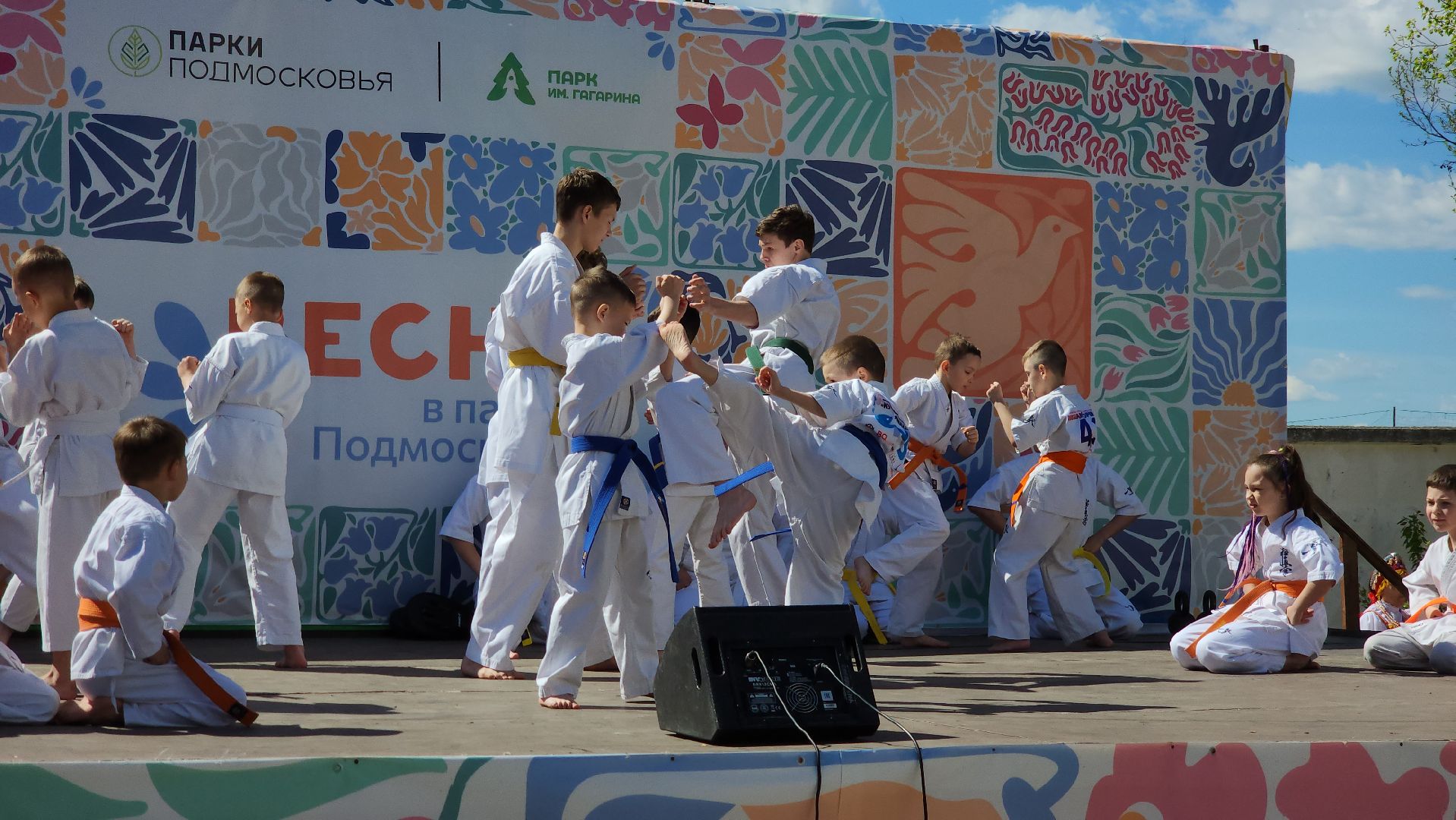 шатура, каратэ-до, мастер-класс по каратэ, тора, Орехово-Зуево, Павловский-Посад, путилково, химки, городские парки Шатуры,пустая рука,