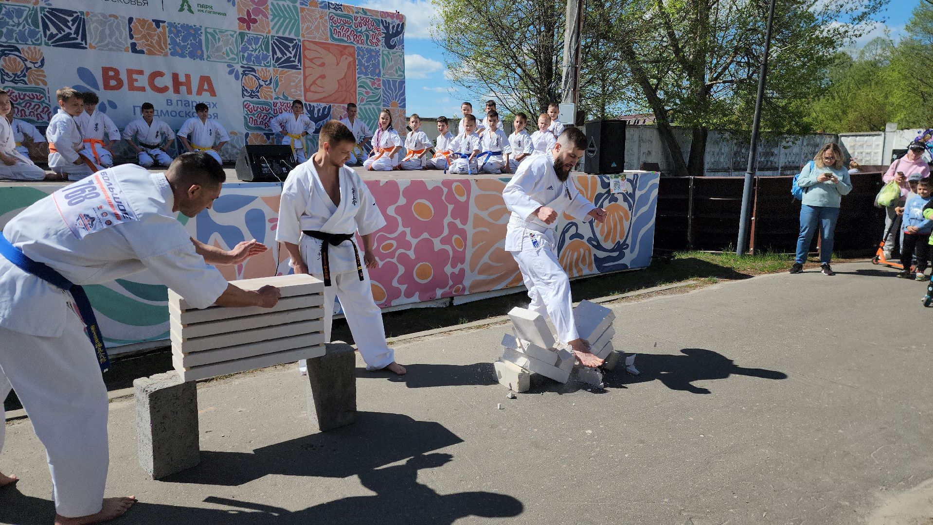 шатура, каратэ-до, мастер-класс по каратэ, тора, Орехово-Зуево, Павловский-Посад, путилково, химки, городские парки Шатуры,пустая рука,