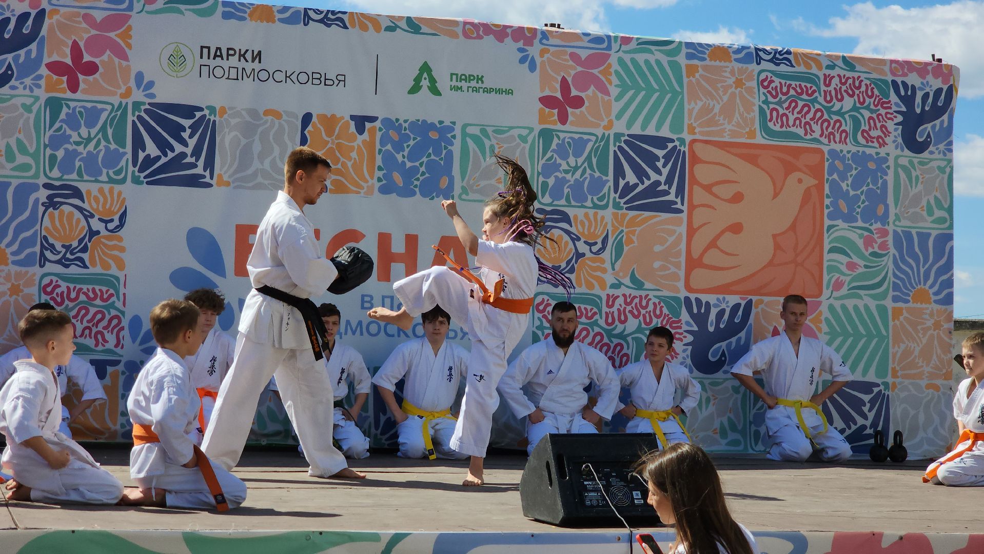 шатура, каратэ-до, мастер-класс по каратэ, тора, Орехово-Зуево, Павловский-Посад, путилково, химки, городские парки Шатуры,пустая рука,