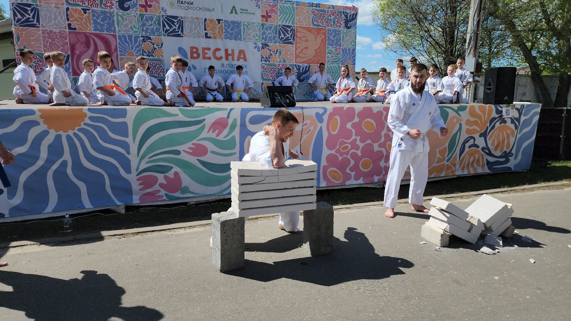 шатура, каратэ-до, мастер-класс по каратэ, тора, Орехово-Зуево, Павловский-Посад, путилково, химки, городские парки Шатуры,пустая рука,